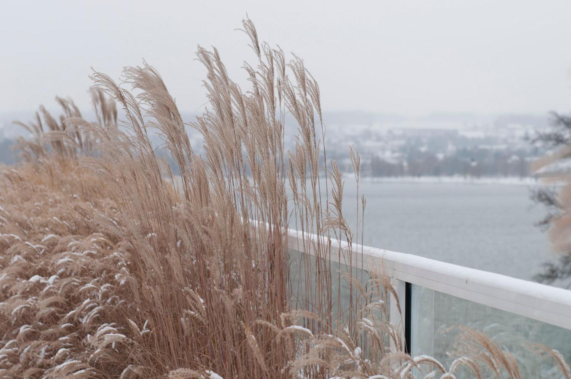 Riva - Am Bodensee 5* Konstanz