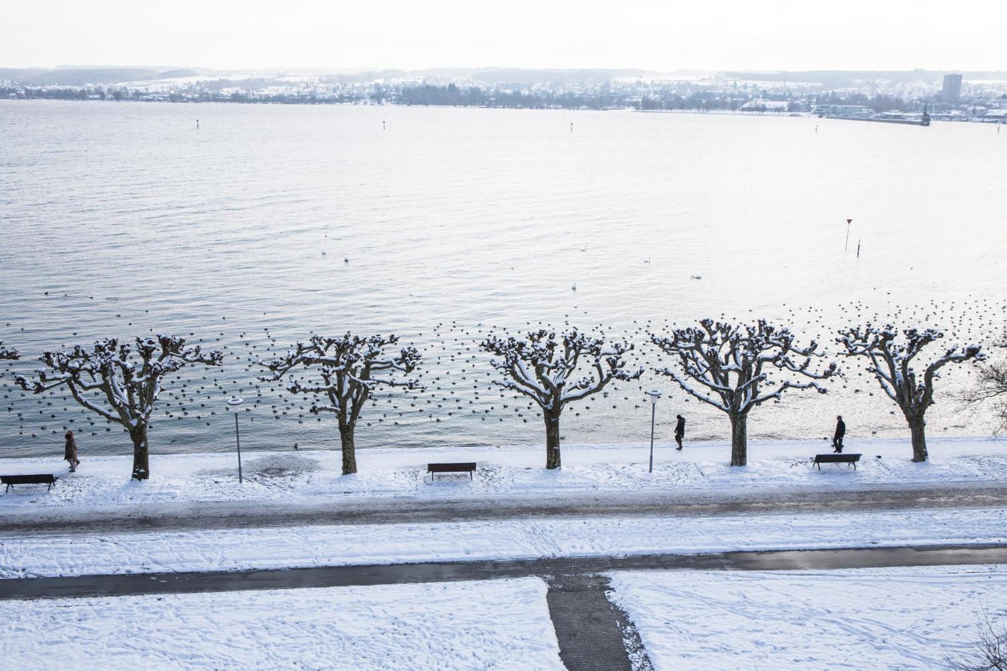 Hotel Riva - Am Bodensee 5*